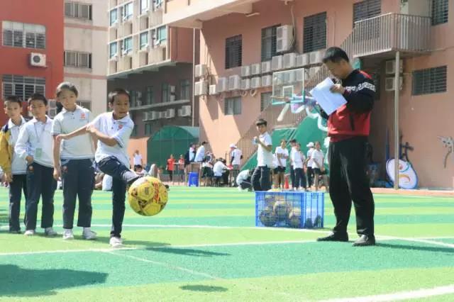 公明中英文學校：多元體育課程體系助學生個性發展