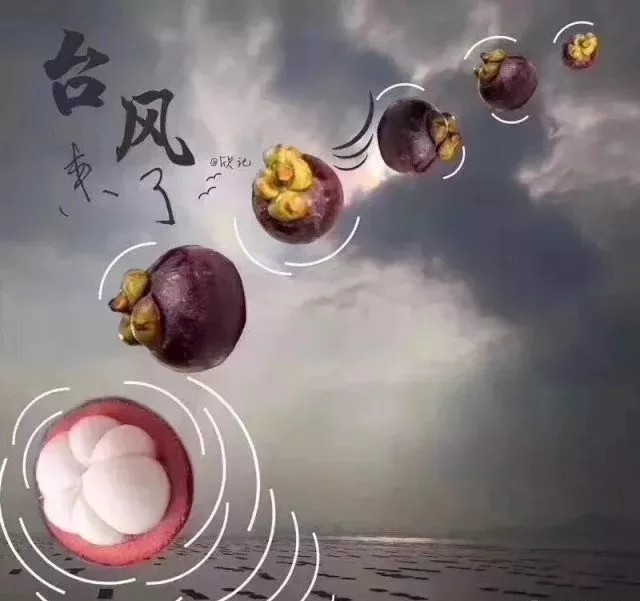 臺風無情人有情，應對臺風“山竹”，我們團結一心。